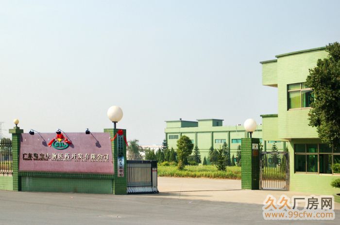 星湖科技位于肇庆市高新区(大旺)厂房出租